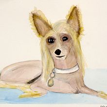 My project for course: Expressive Animal Portraits in Watercolor. Projekt z dziedziny Trad, c, jna ilustracja, Malowanie akwarelą, R, sunek realist, czn, Ilustracja naturalist i czna użytkownika Jiřina Soukupová - 21.07.2024