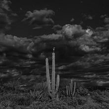 VIBRAS La Entidad Inmaterial de la Naturaleza. Audiovisual Production, Photograph, Film, Video, and TV project by Marco Aguilar - 07.23.2024