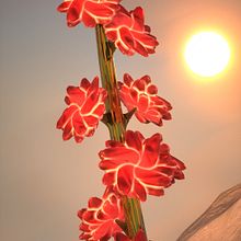 My project for course: 3D Animation: Create a Plant Scene in Cinema 4D. Motion Graphics, 3D, Animation, Art Direction, 3D Animation, and 3D Modeling project by justin_566144 - 07.23.2024