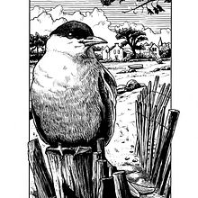 Mon projet du cours : Illustration à l'encre et à la plume : représentez le monde naturel. Un proyecto de Bocetado, Dibujo, Dibujo artístico, Sketchbook, Ilustración con tinta e Ilustración naturalista				 de Arnaud Da Costa - 24.07.2024
