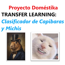 Mi proyecto del curso: Introducción a la IA con Python - Clasificación de Capibaras y Michis. Programming, Web Development, Artificial Intelligence, and AI programming project by Albert Jhonatan Quisbert Mújica - 07.24.2024