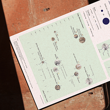 Exploring the 5th Tracks: Taylor Swift's Most Personal Songs. Information Design, Infographics & Interactive Design project by Mariano Bianchino - 07.30.2024