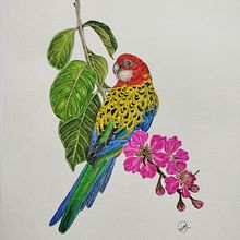 Meu projeto do curso. Fine Arts, Pencil Drawing, Drawing, Watercolor Painting, Realistic Drawing, and Naturalistic Illustration project by Priscila Marques - 07.20.2024
