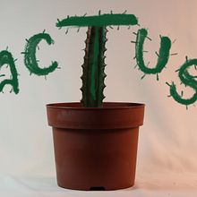 Cactus Short Film. Animation, Stop Motion, 2D Animation, and 3D Animation project by nurialaespada - 07.25.2024