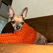 Mi proyecto del curso: Crochet: crea prendas con una sola aguja. Un proyecto de Diseño de moda, Tejido, DIY, Crochet y Diseño textil de Daphne Lexeny Alvarado Madriz - 25.07.2024