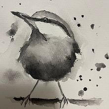 My project for course: Artistic Watercolor Techniques for Illustrating Birds. Traditional illustration, Watercolor Painting, Realistic Drawing, and Naturalistic Illustration project by S Karinsen - 07.27.2024
