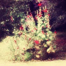 Impressionist Photography With A Monocle. Photograph, and Fine-Art Photograph project by Dmitry Rasakhatsky - 07.10.2024
