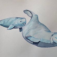 Mi proyecto del curso: Técnicas de ilustración naturalista: ballenas en acuarela. Fine Arts, Painting, Watercolor Painting, and Naturalistic Illustration project by lorena_mestreh - 07.23.2024