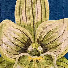 Mi proyecto del curso: Pintura botánica con acrílico. Orquídea chilena . % Evelyn Cruz tarafından hazırlanan Geleneksel illüstras, on, Güzel sanatlar, Tablo, Akrilik Bo, ama, Botanik İllüstras, Ve on projesi - 07.26.2024