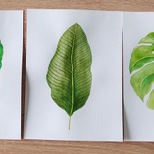 Mój projekt z kursu: Nadruki botaniczne techniką akwareli. Traditional illustration, Pattern Design, Watercolor Painting, and Botanical Illustration project by Magdalena G-W - 07.30.2024