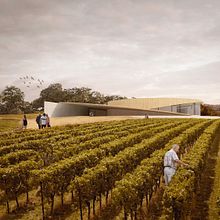 Nature Zero - Wine Cellar. Architecture project by Jaime Garrido Rodriguez - 07.31.2024