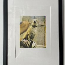Mi proyecto del curso: Serigrafía fotográfica en cuatricromía. Un progetto di Serigrafia di Nesh Nasif - 26.06.2021