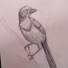 Mi portafolio (algunas obras que hice en tiempo libre). Een project van Traditionele illustratie,  Ontwerp y  Beeldende kunst van Berenice Arriaga - 01.08.2024