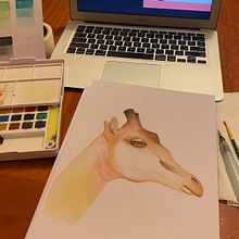 Mi proyecto del curso: Ilustración realista en acuarela de la vida salvaje. Projekt z dziedziny  Sztuki piękne,  Malarstwo, Malowanie akwarelą, Ilustracja naturalist i czna użytkownika CatitArt - 31.07.2024
