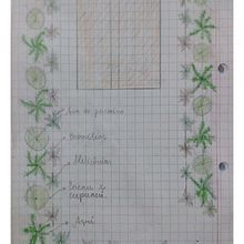 Meu projeto do curso: Design de espaços verdes para sua casa. Paisagismo, Design floral e vegetal, e Design de espaços projeto de Rose Oliveira - 02.08.2024