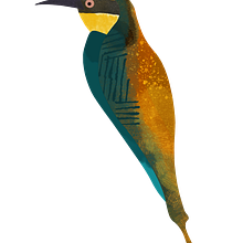 The birds of Polyfytos Lake. Graphic Design, and Drawing project by Marianthi Koroxenidou - 08.03.2024
