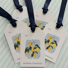 Colleccion Mediterranea. Un progetto di Product design e Papercraft di allanarguerra - 24.07.2024