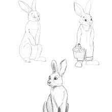 My project for course: Dynamic Animal Illustration for Children’s Stories. Character Design, Pencil Drawing, Drawing, and Children's Illustration project by Kateryna Naberezhna - 08.03.2024