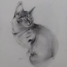Mi proyecto del curso: Dibujo expresivo con carboncillo. Un progetto di Belle arti, Disegno, Disegno di ritratti e Illustrazione naturalistica di Faby San - 04.08.2024