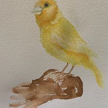 Canary in a coal mine . Watercolor Painting project by Somer Selway - 08.04.2024