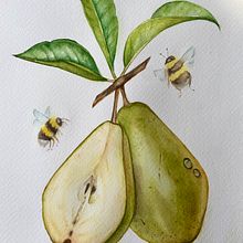 My project for course: Realistic Botanical Illustration: Escape to Nature. Painting, Watercolor Painting, Botanical Illustration, and Naturalistic Illustration project by Kateryna Koiliak - 08.04.2024