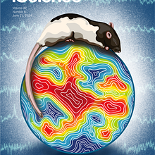 Scientific Illustration, Journal cover and graphical abstract . Ilustrație editorială de Ale Alonso - 06.11.2024