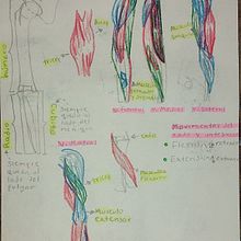 Mi proyecto del curso: Dibujo anatómico de extremidades, manos y pies. Fine Arts, Sketching, Pencil Drawing, Drawing, Portrait Drawing, Realistic Drawing, Artistic Drawing, Sketchbook, Figure Drawing & Ink Illustration project by Karen Marian Mojica Díaz - 08.06.2024