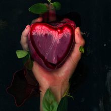 CORAZÓN DE ANIMAL. Un proyecto de Fotografía de Ana Sisternas Viana - 07.08.2024