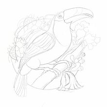  Terlaque ave de nariño. Projekt z dziedziny Trad, c, jna ilustracja, Ilustracja c i frowa użytkownika Ernesto Maya - 07.08.2024