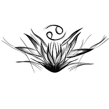 Sol en cáncer ♋️🦀. Un proyecto de Dibujo y Diseño de tatuajes de Ximena Lara - 07.08.2024
