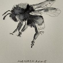 Painting Bumblebees in flight on Illustrating the Natural World in watercolour and charcoal. Fine Arts project by julietanneholsey - 08.09.2024