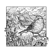My project for course: Dip Pen and Ink Illustration: Capturing The Natural World. Projekt z dziedziny Sketching,  R, sunek,  R, sunek art, st, czn, Sketchbook,  R, sunek atramentem, Ilustracja naturalist i czna użytkownika aneliserosa92 - 09.08.2024