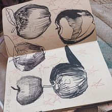 Apple studies. Traditional illustration project by Max COGNAC - 08.08.2024