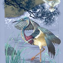 Heron in Procreate. Design, Traditional illustration, and Fine Arts project by Cher Cowan - 08.10.2024