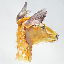 My project for course: Experimental Watercolor Techniques for Beginners. Un proyecto de Ilustración tradicional, Bellas Artes, Pintura a la acuarela e Ilustración naturalista				 de jmcneely0319 - 11.08.2024