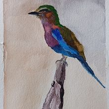 Pájaro africano. Watercolor Painting project by Cristina Fuentes García - 08.10.2024