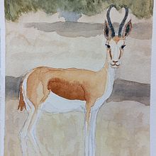 Gacela Thompson . Watercolor Painting project by Cristina Fuentes García - 08.11.2024