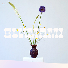 BLUMAMI. Creación de una página web en Squarespace. UX / UI, Web Design, Web Development, and Digital Product Design project by Sara Mayoral - 08.11.2024
