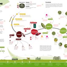 Mi proyecto del curso: Diseño de la información: cuenta historias con datos en Illustrator. Graphic Design, Information Design, Interactive Design & Infographics project by oviedo_3101 - 10.17.2023