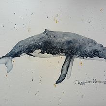 Mon projet du cours : Techniques d'illustration naturaliste : baleines à l'aquarelle. Fine Arts, Painting, Watercolor Painting, and Naturalistic Illustration project by Lilie Lafée - 08.12.2024