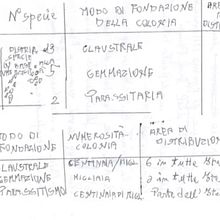Il mio progetto del corso: Titolo provvisorio. Un progetto di Design, Graphic design, Design dell’informazione e Infografica di Davide Grassi - 12.06.2024