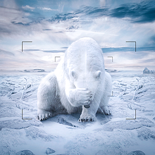 Fotomontaje  Publicitarios para Productos . Advertising, Art Direction, Graphic Design, Marketing, and Packaging project by David Flores - 08.11.2024