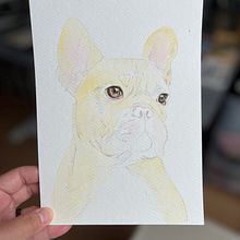 My project for course: Expressive Animal Portraits in Watercolor. Watercolor Painting, Realistic Drawing, and Naturalistic Illustration project by tianyunamyliu - 08.14.2024