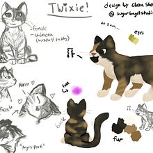 Twixie cat ref sheet. Character Design, Concept Art, and Digital Illustration project by Clara Showalter - 08.14.2024