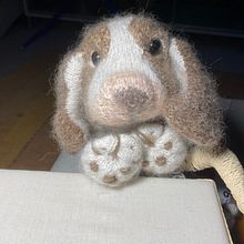 Mein Abschlussprojekt für den Kurs: Realistische Kuscheltiere: Stricke einen Welpen. Fiber Arts, DIY, Knitting, and Textile Design project by ehundler - 08.15.2024