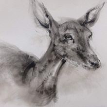 My project for course: Expressive Drawing with Charcoal. Fine Arts, Drawing, Portrait Drawing, and Naturalistic Illustration project by Sevaram (Ram) Narayanasamy - 08.16.2024