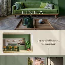 > Mi proyecto del curso: Canva de 0 a 100: crea diseños de forma profesional. Br, ing, Identit, Graphic Design, Web Design, Social Media Design, Design, and Advertising project by Belen Warcok - 08.18.2024