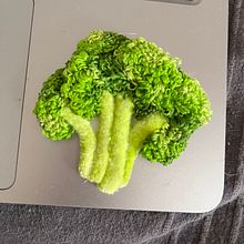 Mon projet du cours : Broderie en 3D avec les techniques d'aiguille perforante . Projekt z dziedziny  Haft,  Tkactwo,  Haft pętelkow, Wzornictwo tekst i liów użytkownika Aline Huet - 18.08.2024