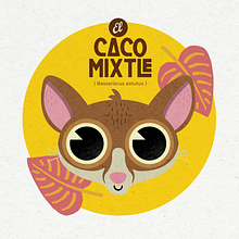CACOMIXTLE. Un progetto di Character design, Graphic design e Illustrazione infantile di walter peterson - 18.08.2024
