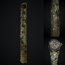 Mi primer proyecto de fotogrametría 3D. Un proyecto de 3D, Modelado 3D, Videojuegos, Diseño 3D y Diseño de videojuegos de Andrea Bedoya - 15.08.2024